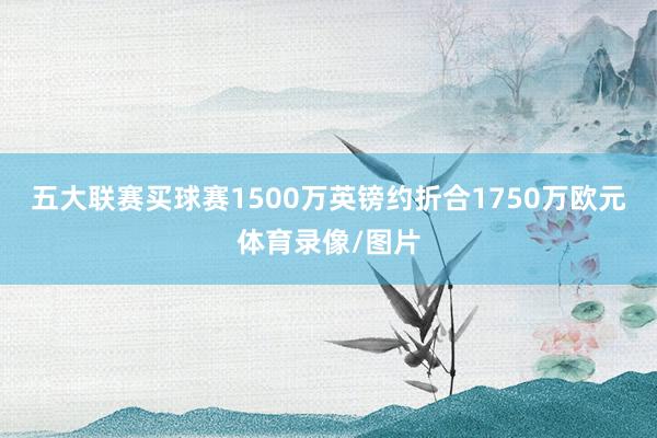 五大联赛买球赛1500万英镑约折合1750万欧元体育录像/图片
