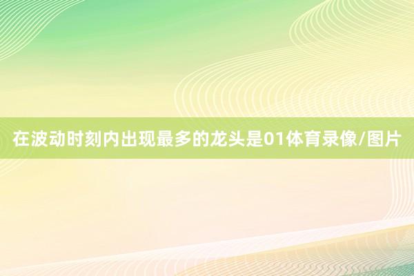 在波动时刻内出现最多的龙头是01体育录像/图片