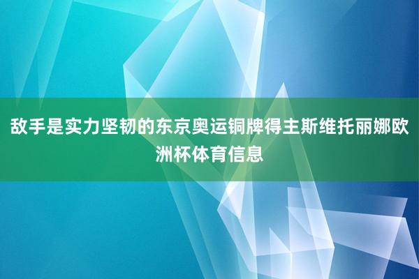 敌手是实力坚韧的东京奥运铜牌得主斯维托丽娜欧洲杯体育信息
