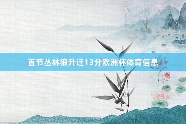 首节丛林狼升迁13分欧洲杯体育信息