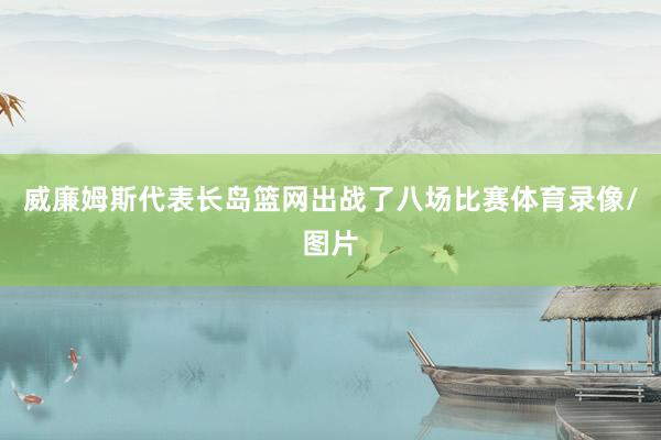 威廉姆斯代表长岛篮网出战了八场比赛体育录像/图片