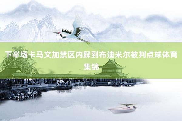 下半场卡马文加禁区内踩到布迪米尔被判点球体育集锦