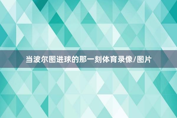 当波尔图进球的那一刻体育录像/图片