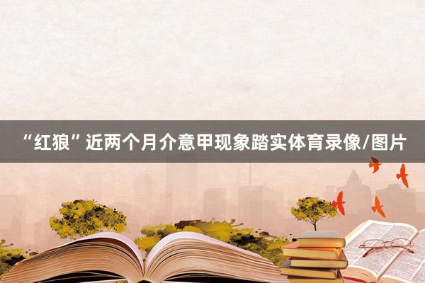“红狼”近两个月介意甲现象踏实体育录像/图片