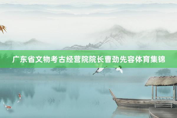 广东省文物考古经营院院长曹劲先容体育集锦