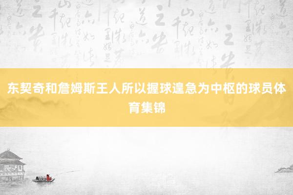 东契奇和詹姆斯王人所以握球遑急为中枢的球员体育集锦