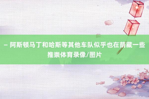 — 阿斯顿马丁和哈斯等其他车队似乎也在荫藏一些推崇体育录像/图片